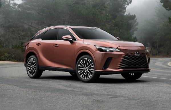 Доводчики дверей Lexus RX 2022-2024